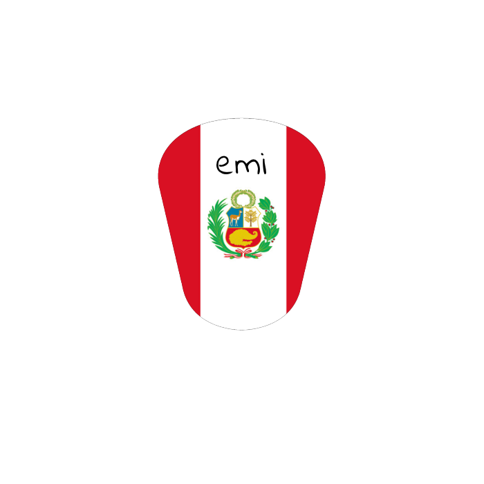 Custom Drip FC Shinguards